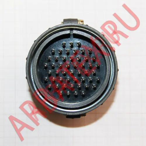 СШР60П50ЭГ3 вилка фото фото 5 СШР60П50ЭГ3 вилка Разъемы ШР, СШР фото фото 5